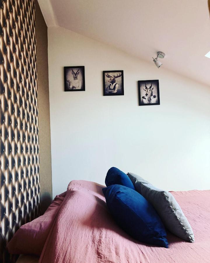 Le Carrosse, La Diligence, Centre Saint Jean De Losne Tarif 2Pers 1 Chambre, Tarif 4 Pers 2 Chambres Екстер'єр фото